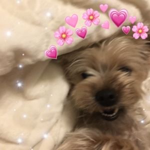 Meet your Posher, Yuna